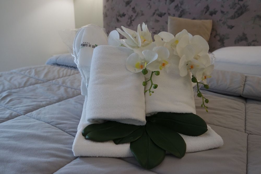 Hotel Pompei Be Green Standard Double or Twin Room, Accessible, Balcony 3