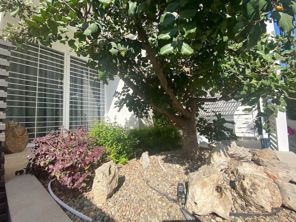 Home3 bed Deluxe Suite 15