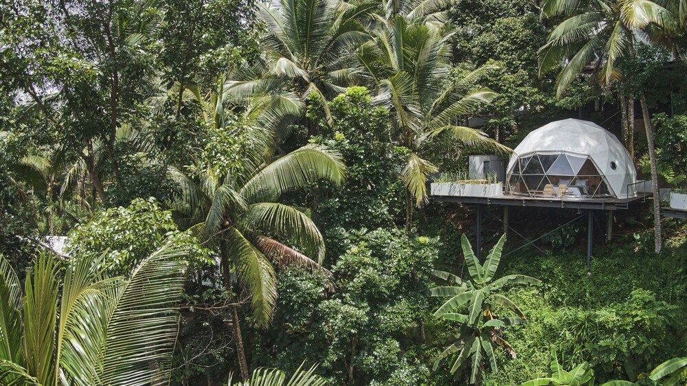 Lintang Luku Tent Resort Ijen, Banyuwangi Pendar Tent 2