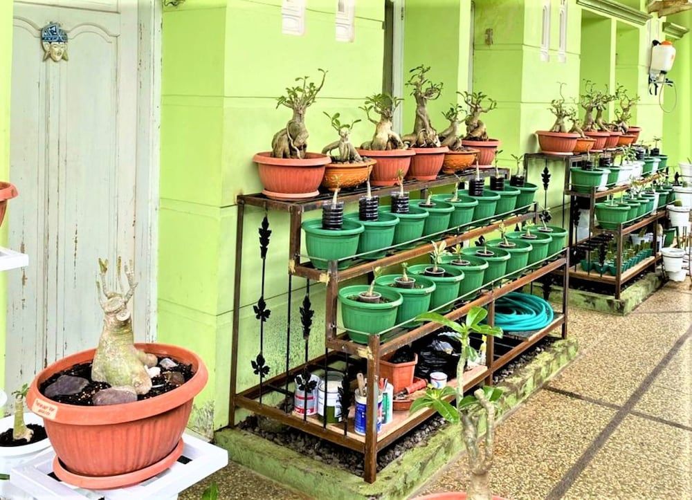 Buntusu Guest House