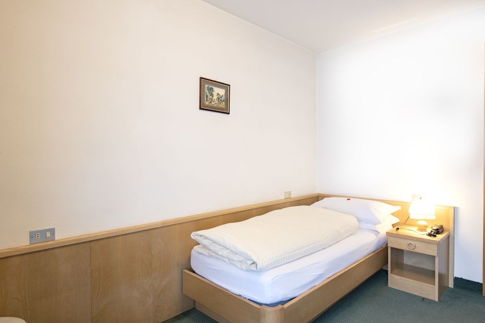 Single Room, Balcony, Mountain View