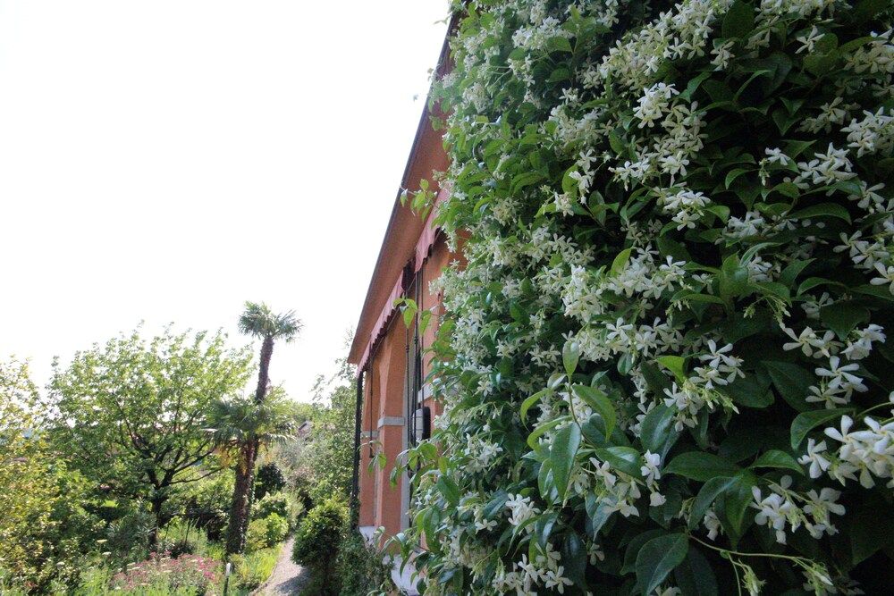 Botanic Garden Villa