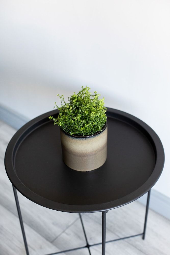 undefined Fully Refurbished North Belfast Home 3 8