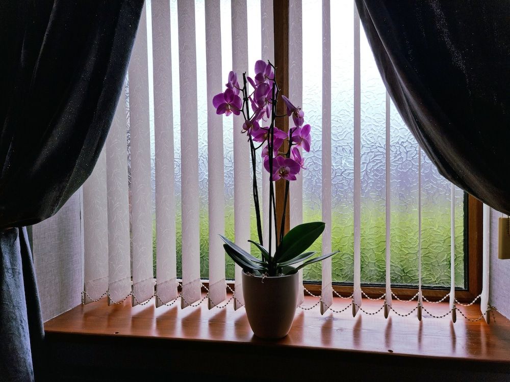 Castle Lodge B&B Family Room 8