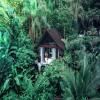 Oxygen Jungle Villas & Spa