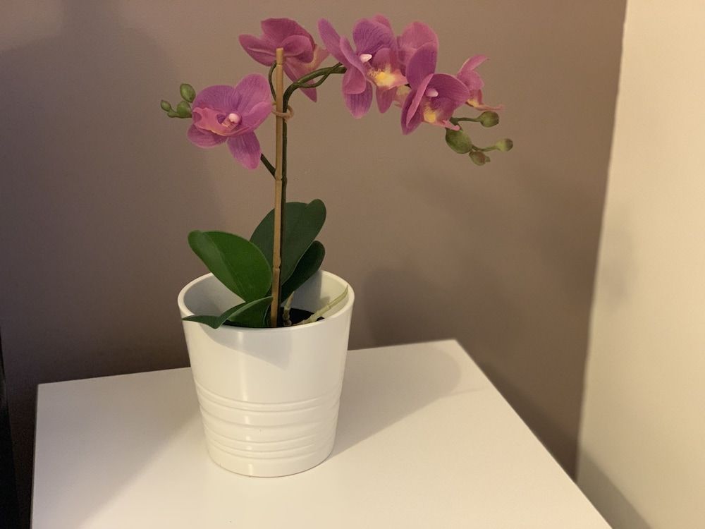 Gordon House House, 4 Bedrooms 9