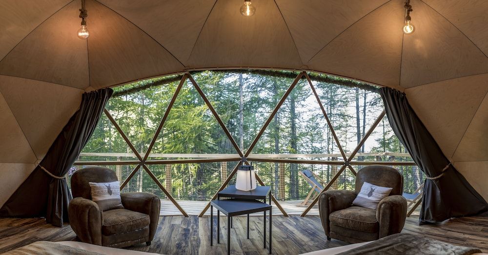 Alpin D’Hôme D'hômes Cosy 11 # Francis # 2