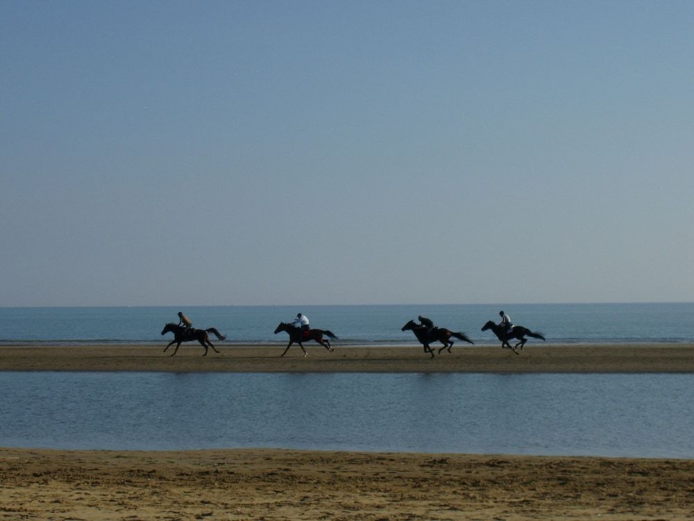 Ca' Adami
