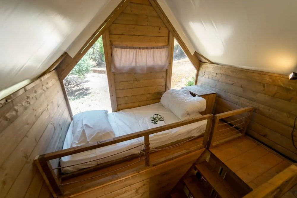 Economy Tent