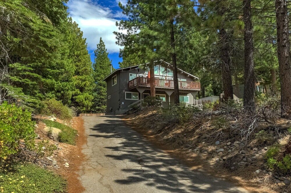 undefined Panka Treehouse 3