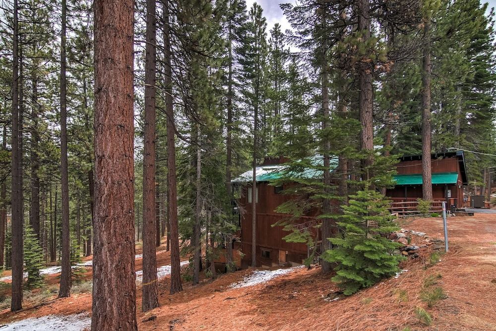 undefined Bear Haus - Fur Babies Welcome! 3