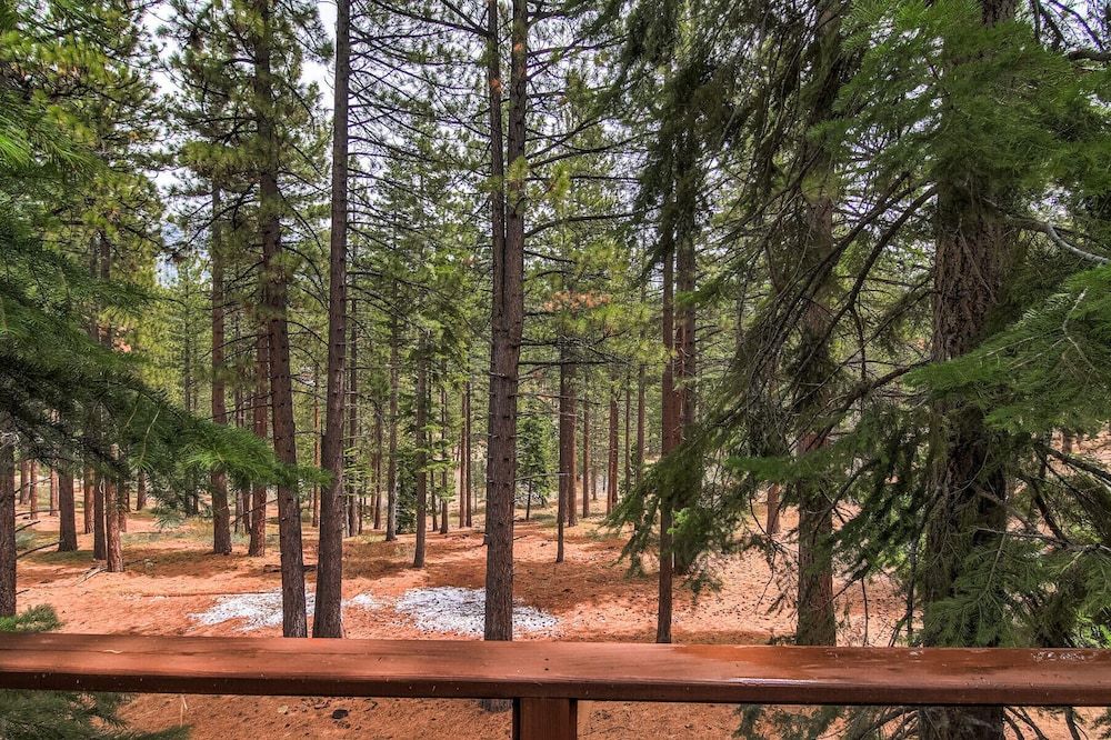 undefined Bear Haus - Fur Babies Welcome! 6