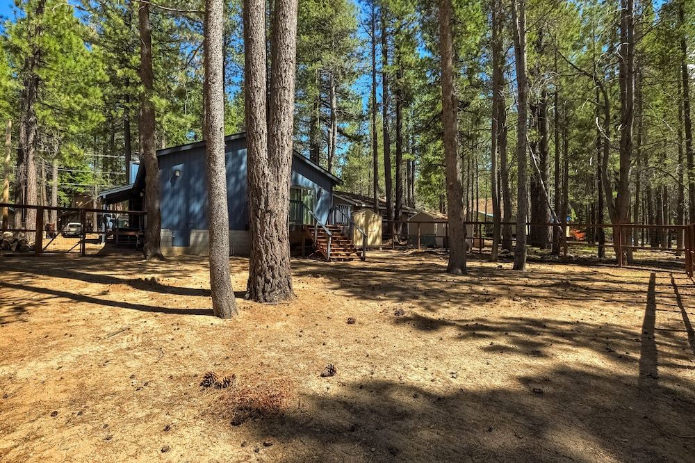 undefined Willow's Hideaway - Pet Friendly Cozy Cabin! 6