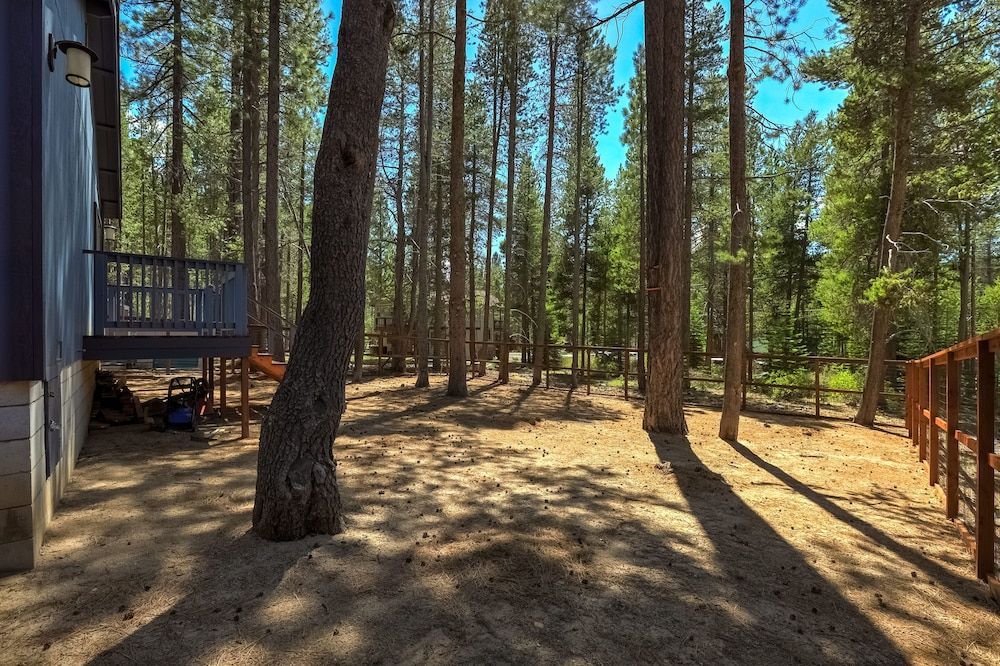 undefined Willow's Hideaway - Pet Friendly Cozy Cabin! 5