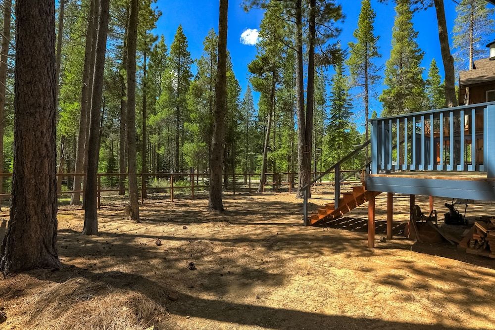 undefined Willow's Hideaway - Pet Friendly Cozy Cabin! 7