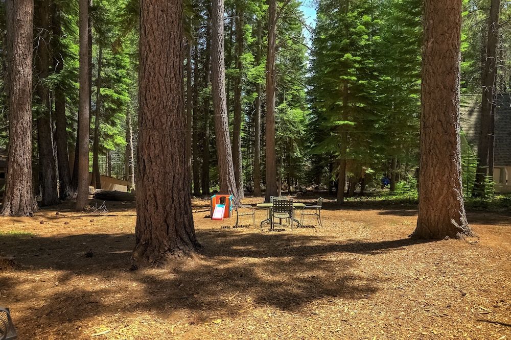 Coziness Cabin - Cute Little Cabin in the Tahoe Woods! Cabin, Multiple Beds, Fireplace, Mountain View (Coziness Cabin) 15