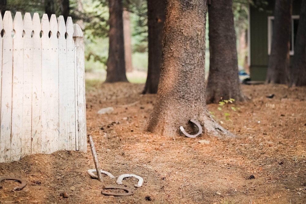 undefined Serenity Woods - Game Room & More! 3