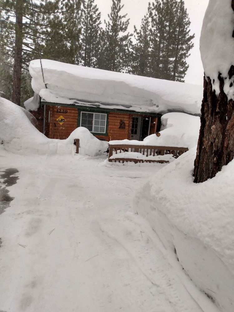 undefined Bear Woods Cabin 3