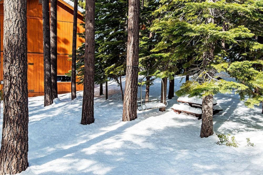 undefined Cherry Hills Cabin - Sleeps 6, No Pets, Family Fun! 2