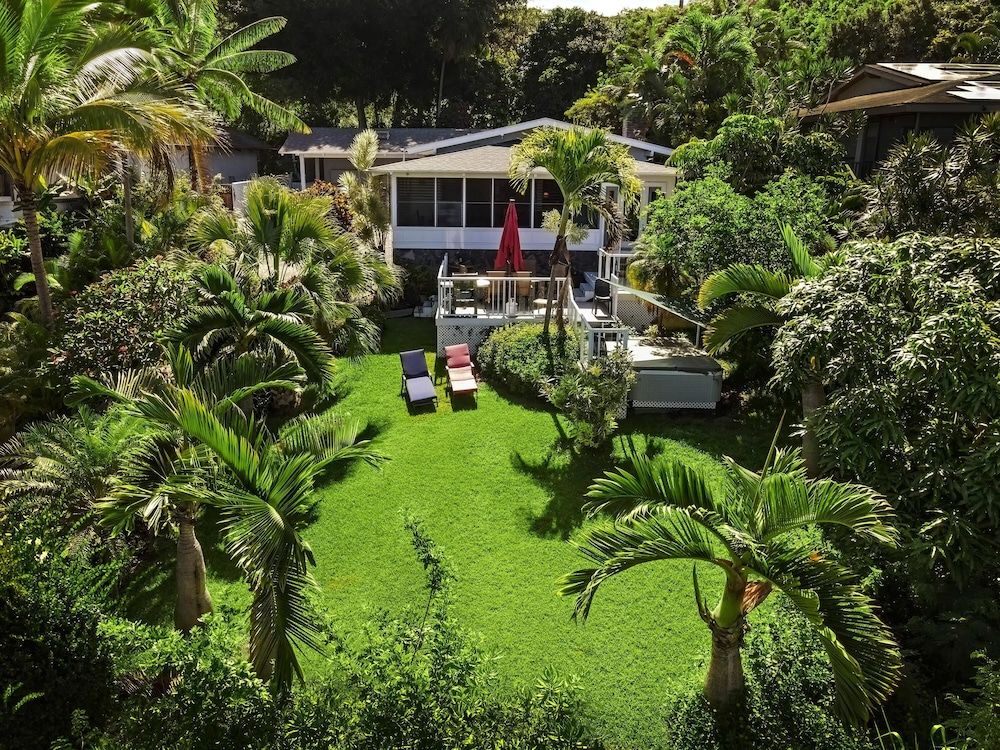 undefined Koana Breeze 8