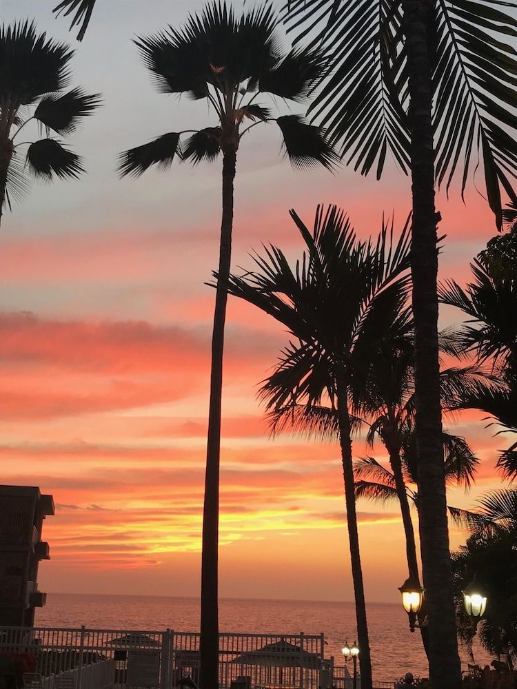 undefined Kona Shores #203