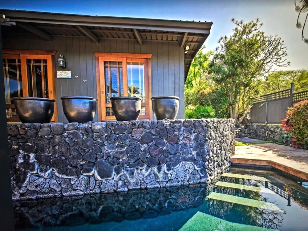 undefined Koi Hale 4