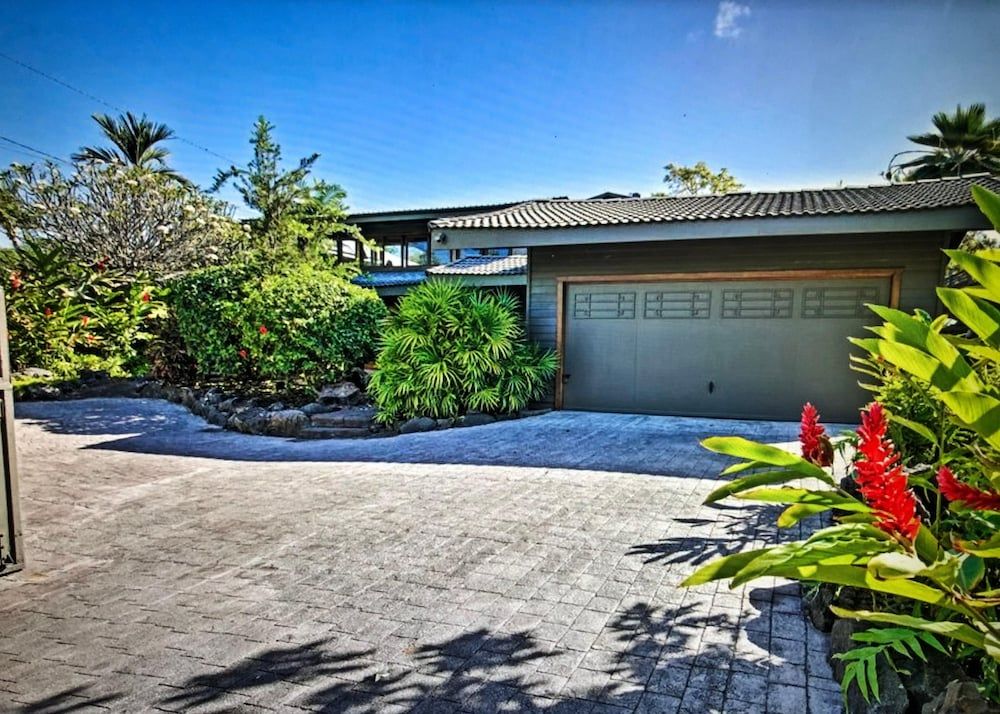 undefined Koi Hale 8