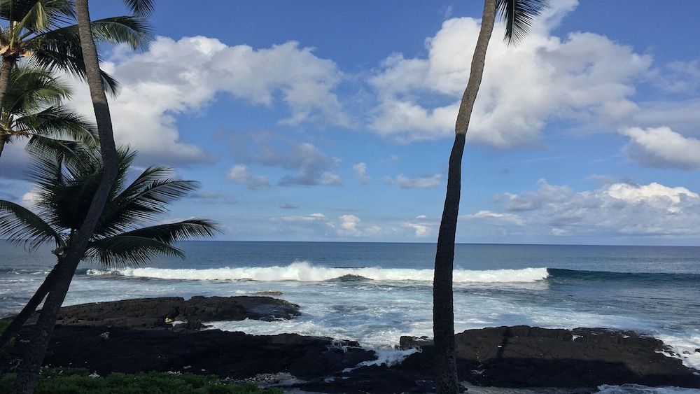 Kona Bali Kai 223 - Oceanfront 2 Bedroom Condo by RedAwning Condo, 2 Bedrooms 17