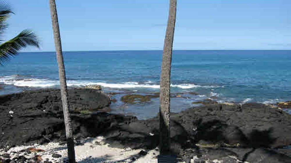 Kona Bali Kai 223 - Oceanfront 2 Bedroom Condo by RedAwning Condo, 2 Bedrooms 14