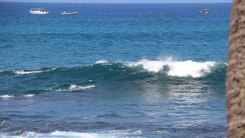 Kona Bali Kai 223 - Oceanfront 2 Bedroom Condo by RedAwning Condo, 2 Bedrooms 15