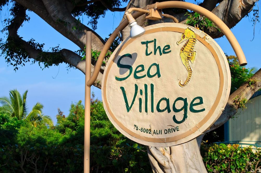 Sea Village 3-317 Condo, Multiple Beds (Sea Village 3-317) 19