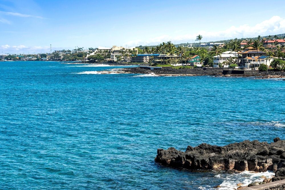 Sea Village 4-205 Condo, 1 Queen Bed with Sofa bed (Sea Village 4-205) 9