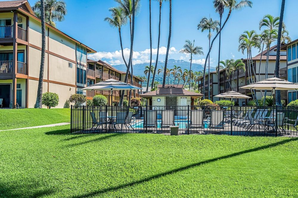 undefined Kona Isle B31 5