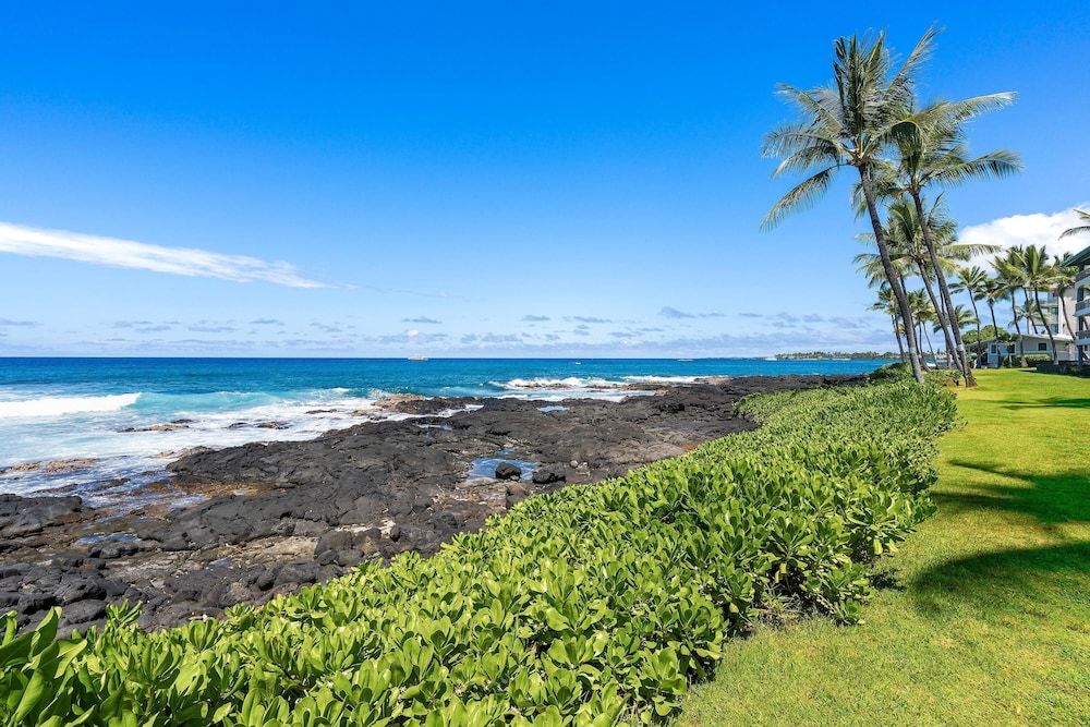 undefined Kona Reef D32 7