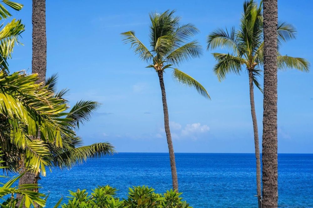 Kona Makai 2-201 Condo, Multiple Beds (Kona Makai 2-201) 8