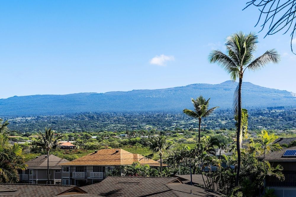 Kona Shores 221 Stvr #19-390879 House, 1 King Bed with Sofa bed (Kona Shores 221 STVR #19-390879) 24