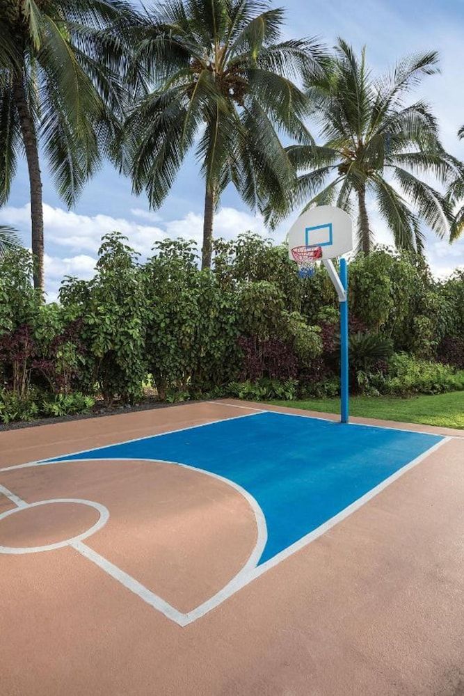 Basketball Court