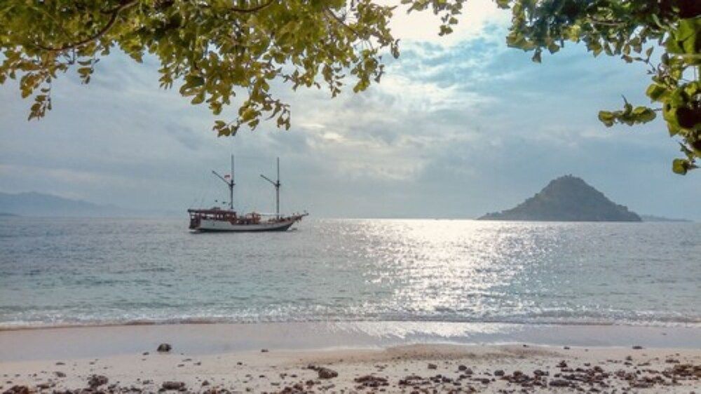 Samara II Liveaboard Cabin, Non Smoking 11