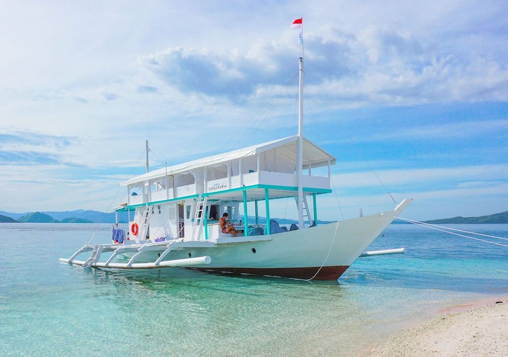 undefined Le Pirate Explorer 2