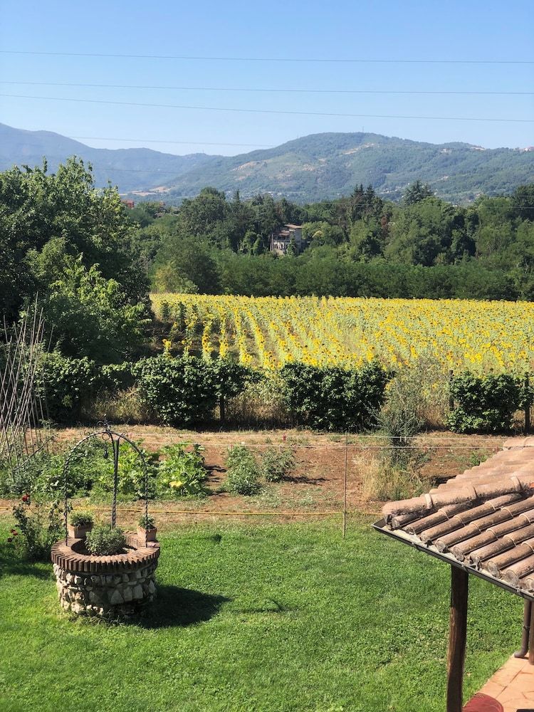 Dreams Valley B&B Apartment, 2 Bedrooms, Mountain View 10