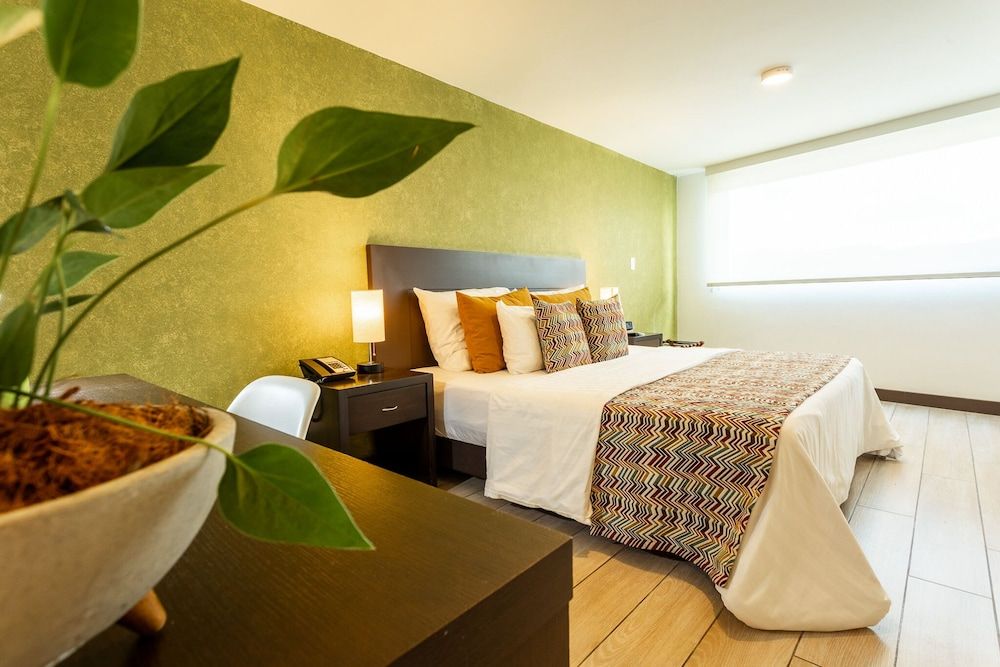 Hotel Carretero Senior Double Room 5