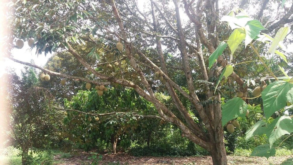 undefined GLG KLIA Transit House 9