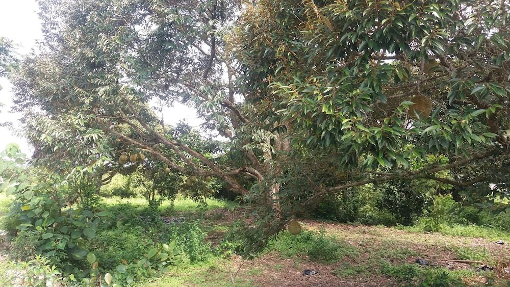 undefined GLG KLIA Transit House 8