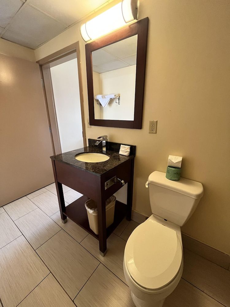 Circle Motel Lodge Deluxe Room, 1 King Bed 6