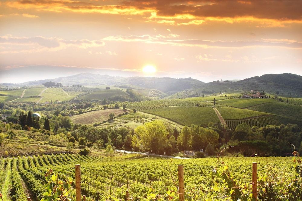 Family Apartment, 1 Bedroom (Palagio 11 in chianti with Shared)