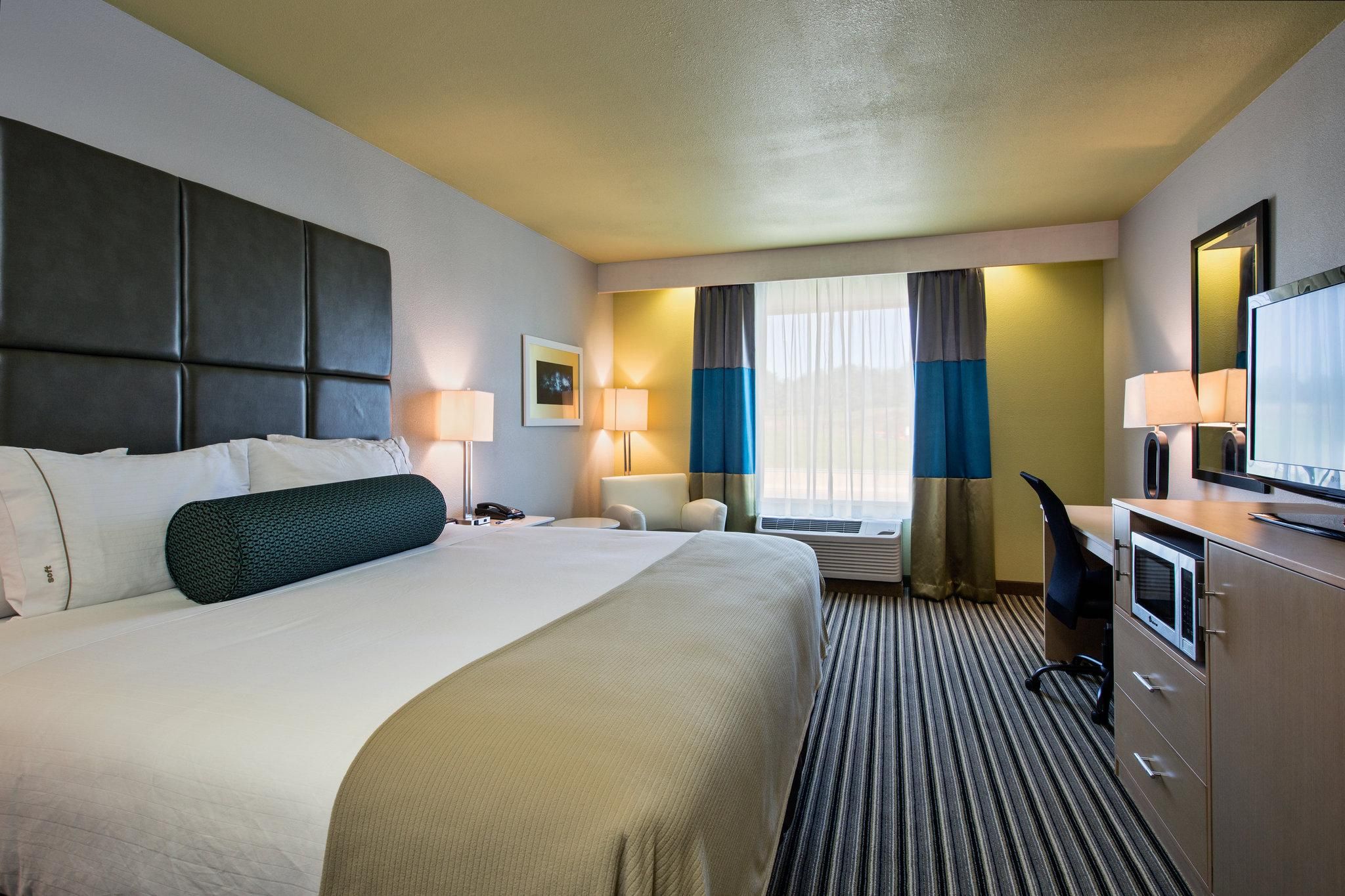 Holiday Inn Express Hotel & Suites, Carlisle-Harrisburg Area by IHG 1 King Bed Standard Comm Access Tub