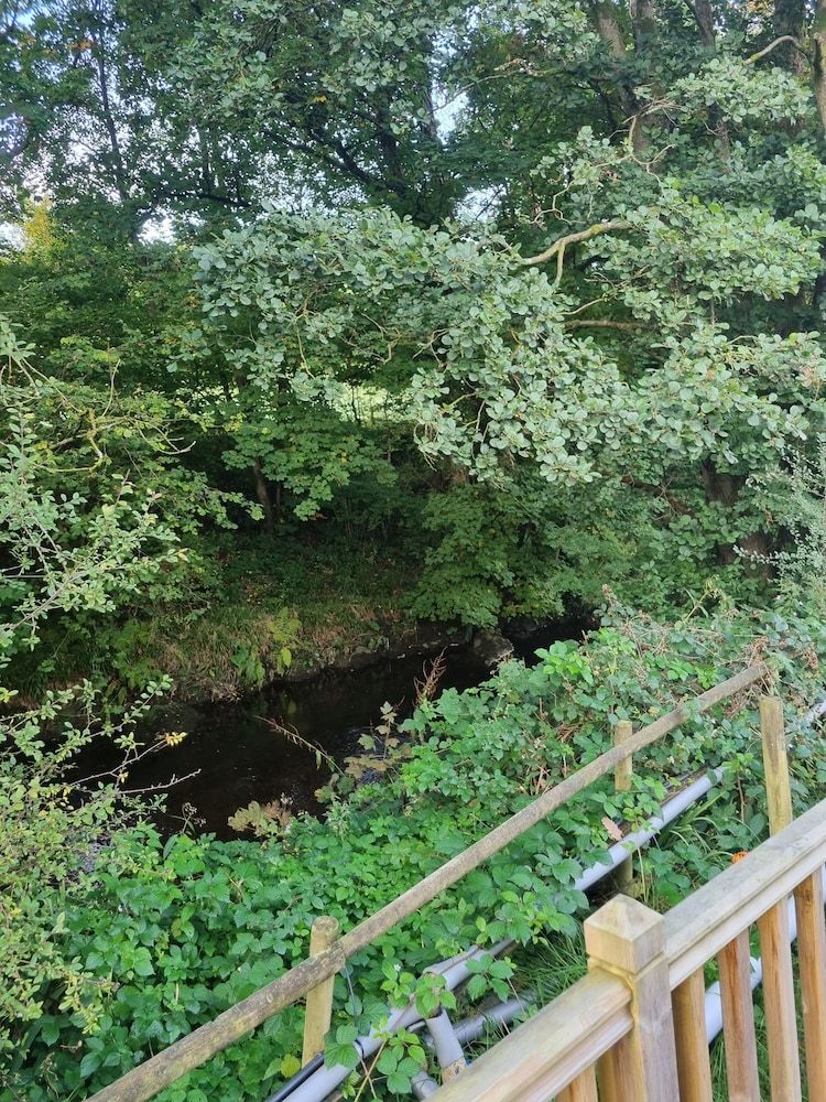 Glamping Hut - Riverview 4 Chalet 18