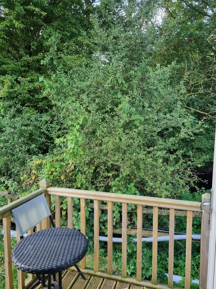 Glamping Hut - Riverview 4 Chalet 11