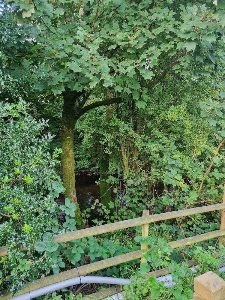 Glamping Hut - Riverview 4 Chalet 17