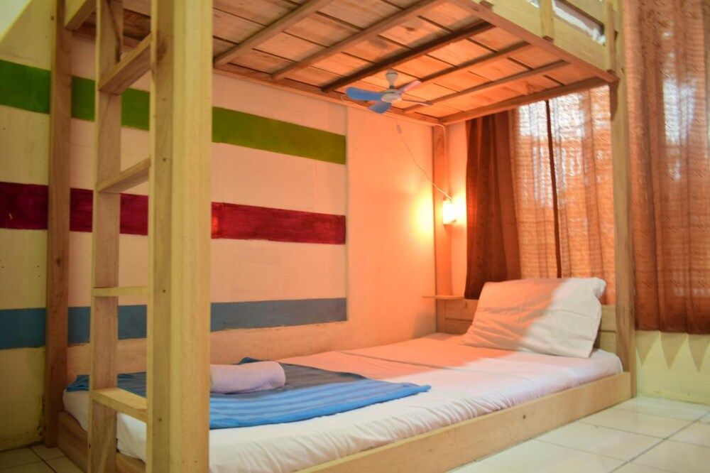 Dodo Dormitory Backpacker